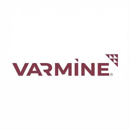 Varmine Builders LLP